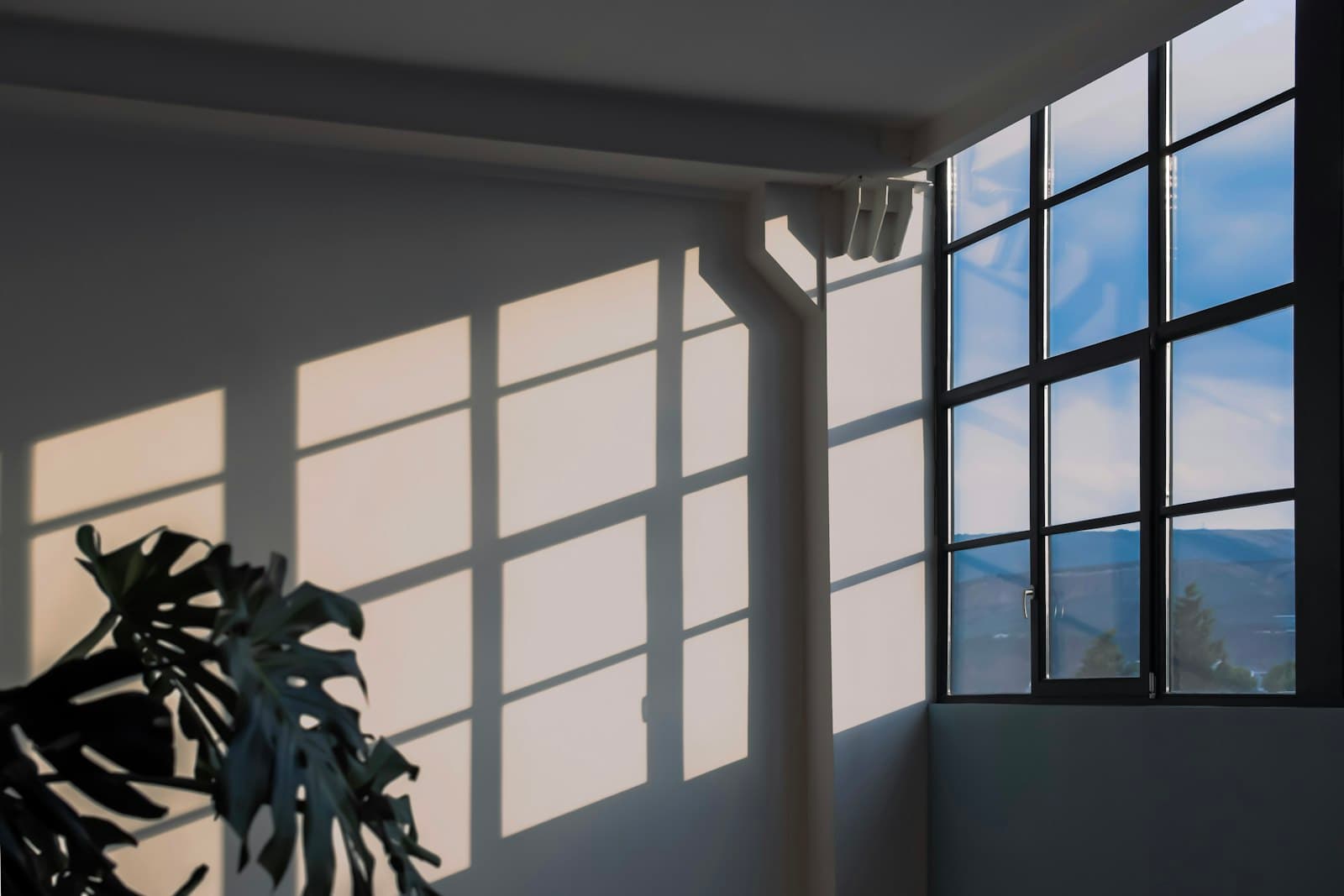 Sunlight streaming through large windows and casting frame shadows on a white wall beside a monstera plant